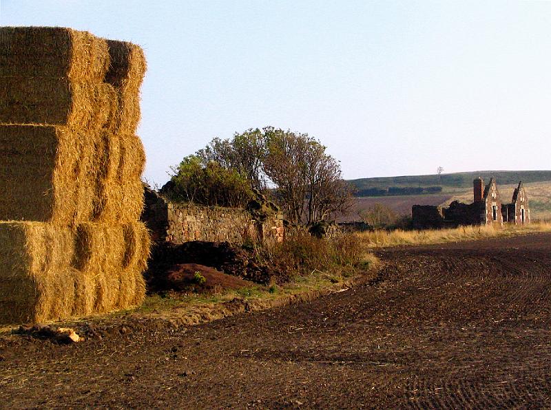 Evening fields.jpg